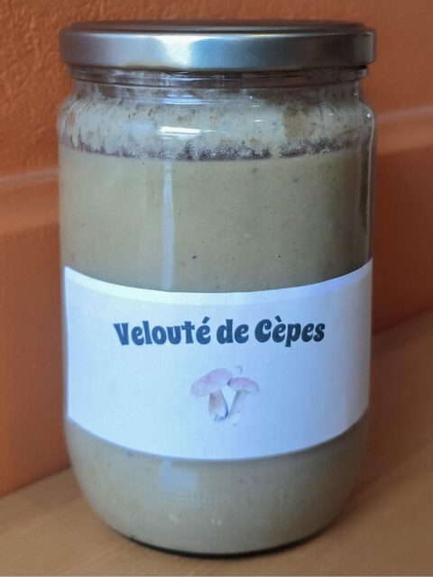 photo-veloute-de-cepes