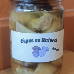 photo-cepes-au-naturel