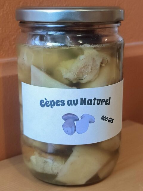 photo-cepes-au-naturel